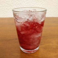 location pileur à glace ideal pour réaliser des coctkails