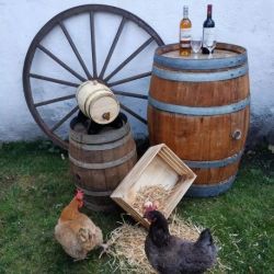 location roue de charrue, tonneau, pot a lait ...