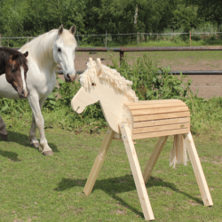  Location cheval en bois...