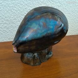 Objet de décoration :lampe coquillage, moule, poissons, decor marin, valauris 