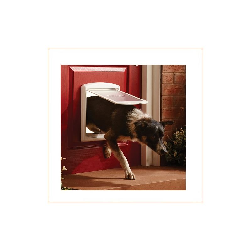 Porte neuve pour animaux de compagnie Staywell® Original 2-Way de taille moyenne couleur chocolat / Chatiere