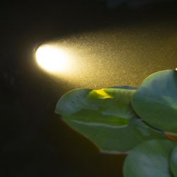 Spot aqualight ubbink / projecteur etanche pour bassin aquatique