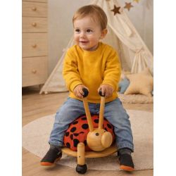 Trotteur pousseur coccinelle
