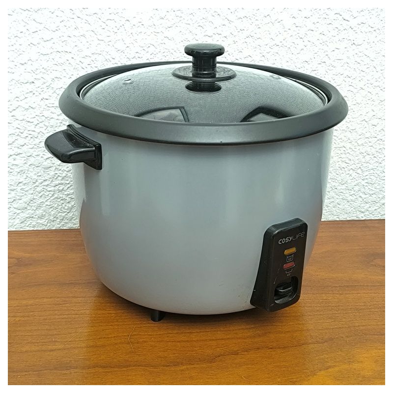 cuiseur vapeur a cuisson lente quigg