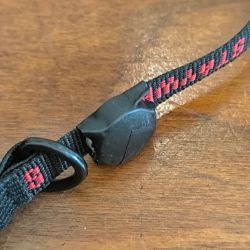 Chatiere avec collier aimanté. Seul votre chat peut entrer staywell