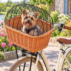 panier, cage pour vélo en osier pour chat, petit chien , course .