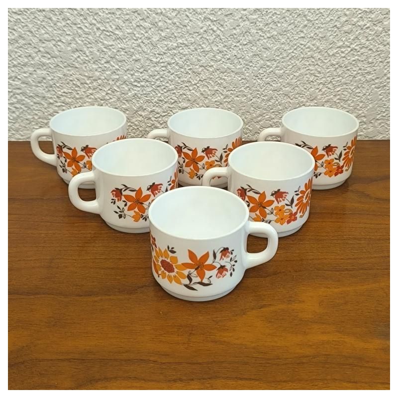 Lot de 6 tasses à café vintage seventies arcopal modele flore