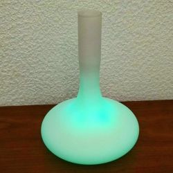 Vase lumineux autonome à leds (couleurs changantes)
