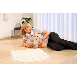 Tapis d'entraînement à la propreté pour chiot avec systeme de récompense